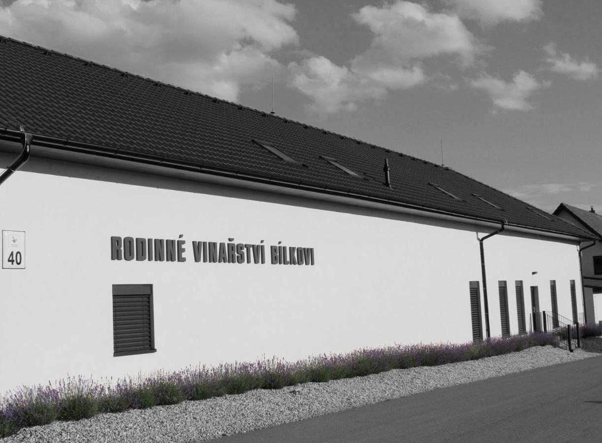 Penzion Vinarstvi Bilkovi Velke Bilovice Luaran gambar