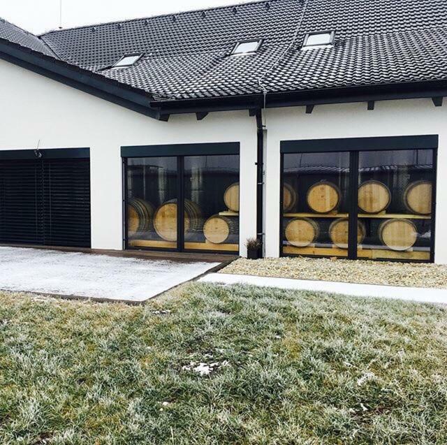 Penzion Vinarstvi Bilkovi Velke Bilovice Luaran gambar